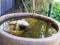 Hope Cottage Country Retreat - Accommodation Asia 4