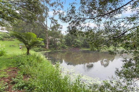 Maleny Wildlife Holiday House - Accommodation Asia 4