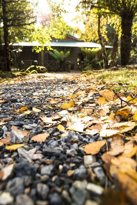 Cradle Forest Inn - Accommodation Asia 0