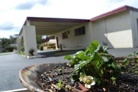 Wattle Motel - Accommodation Asia 2