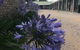 Lake Albert Motel - thumb 6