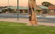 Lake Albert Motel - thumb 2