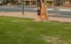 Lake Albert Motel - thumb 0