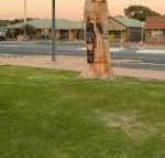 Lake Albert Motel - Accommodation Asia