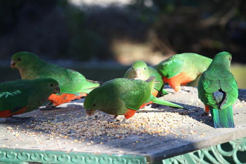 Omeo Motel - Accommodation Asia 4