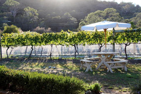 Every Man & His Dog Vineyard - Accommodation Guide 6