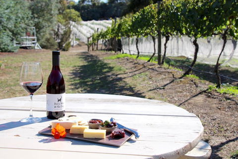 Every Man & His Dog Vineyard - Accommodation Guide 3