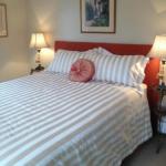 Every Man & His Dog Vineyard - Accommodation Guide 1