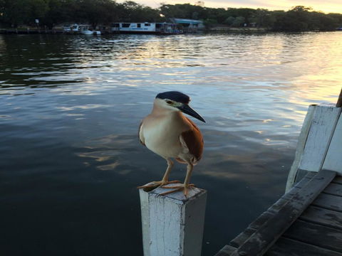 Mandurah Riverfront Holiday Rental - Accommodation Asia 1