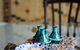 Rejuvenate At San Remo - Rejuvenate Stays - thumb 4