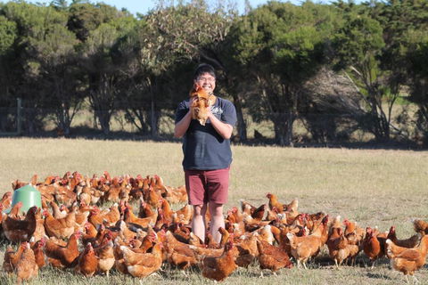 Bimbadeen Phillip Island Farm Retreats - Accommodation Asia 4
