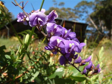 The Coombe On Wilson Inlet - Accommodation Asia 4