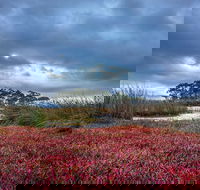 Saintys Creek Cottage - Accommodation Asia