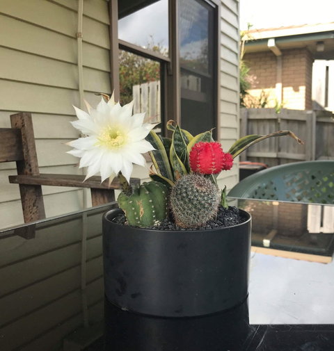 Port Campbell Guesthouse & Flash Packers - Accommodation Guide 0