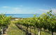 McLaren Vale Backpackers - thumb 6