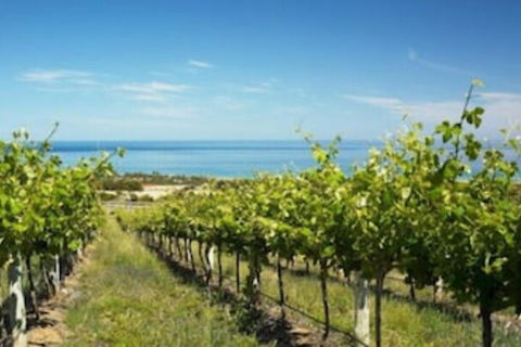 McLaren Vale Backpackers - Accommodation Asia 6