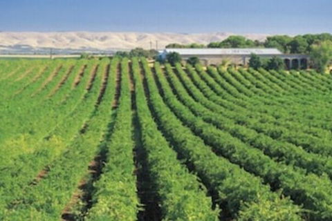 McLaren Vale Backpackers - Accommodation Asia 4