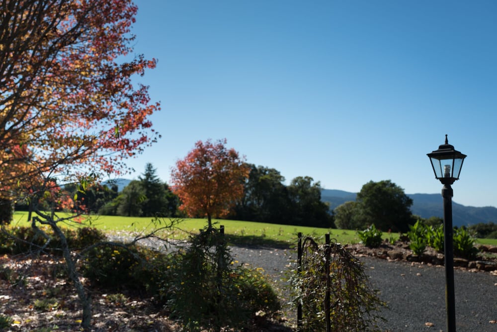 North Dorrigo NSW Accommodation Asia