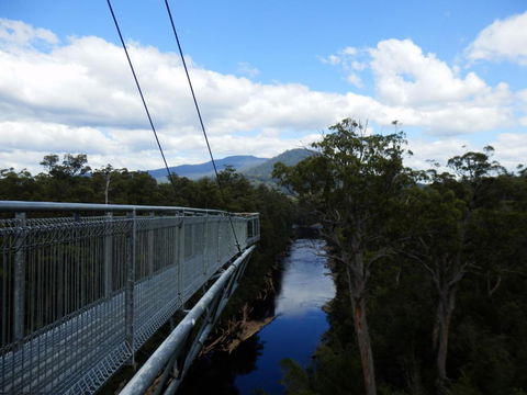 Tahune Air Walk Lodge - Accommodation Asia 5