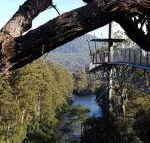Tahune Air Walk Lodge - Accommodation Asia