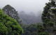 Bunya Mountains Accommodation Centre - thumb 3