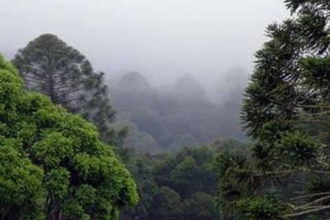 Bunya Mountains Accommodation Centre - Accommodation Asia 3
