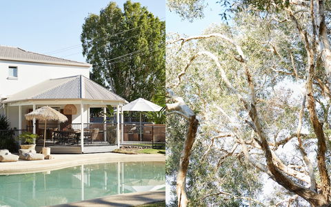 The Brunswick, Brunswick Heads - Accommodation Asia 1