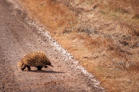 Admirals Inn - Accommodation China 6