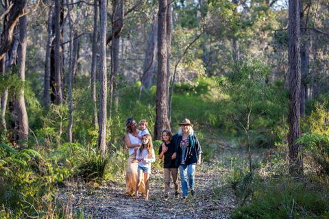 Redgate Forest Retreat - Accommodation Asia 2