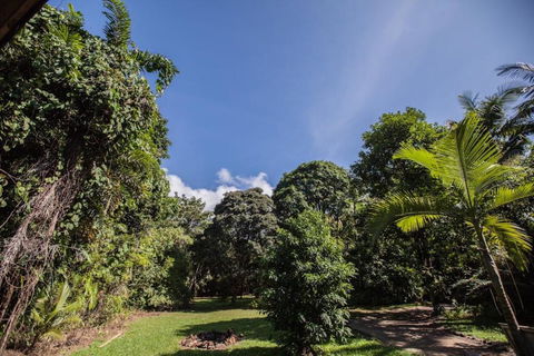 Cape Tribulation Holiday House - Accommodation Asia 2