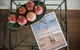 Cape Tribulation Holiday House - thumb 1
