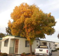 Wodonga Caravan  Cabin Park - Accommodation Asia