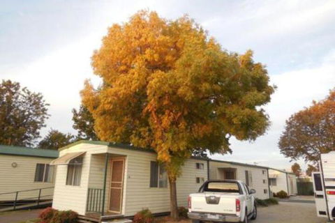 Wodonga Caravan & Cabin Park - Accommodation Guide 0