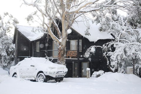 Milkwood - Accommodation Asia 1