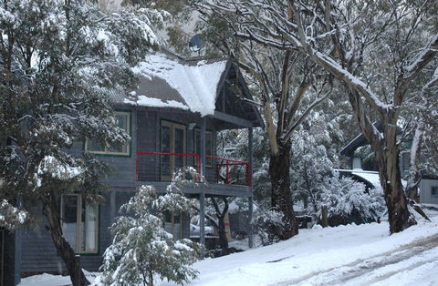Milkwood - Accommodation Asia 3