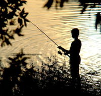 Wooli River Lodges - Accommodation Asia