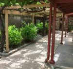 bluebird cottage - Accommodation Asia