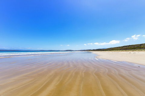 Cloudy Bay Cabin - Accommodation Guide 6