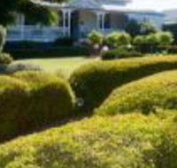 Whiskey Gully Wines - Accommodation Guide