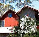 Pelicans at Denmark - Accommodation Asia