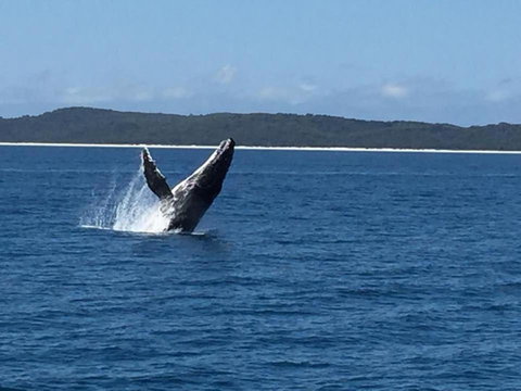 Sandy Footprints - Accommodation China 3