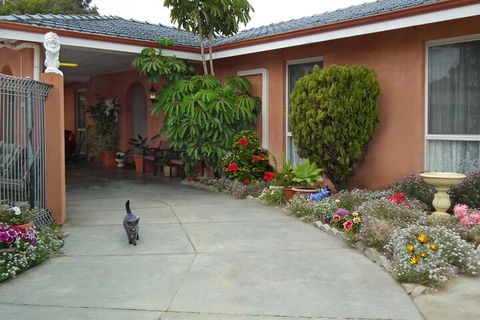 The Spanish Lodge And B&B - Accommodation Asia 6