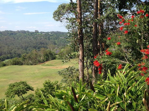 The Avenue At Montville Cottage - Accommodation Asia 5