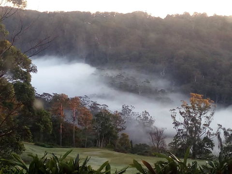 The Avenue At Montville Cottage - Accommodation Asia 2