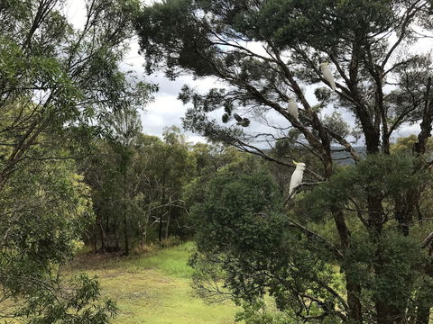 Kookaburra Retreat - Accommodation Asia 5