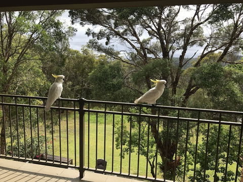 Kookaburra Retreat - Accommodation Asia 4