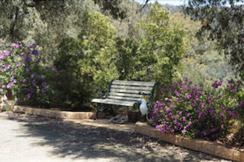 Wild Cherry Bed & Breakfast - Accommodation Asia 3