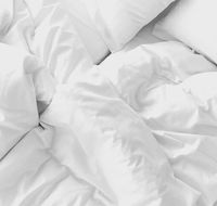 Sydney Coastal Comfort - Accommodation Guide