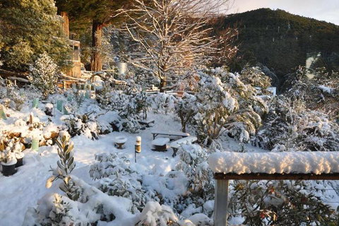 Pipeline Chalet Kunanyi Mt. Wellington - Accommodation China 4