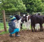 Manderley Park Farmstay B  B - Accommodation Guide
